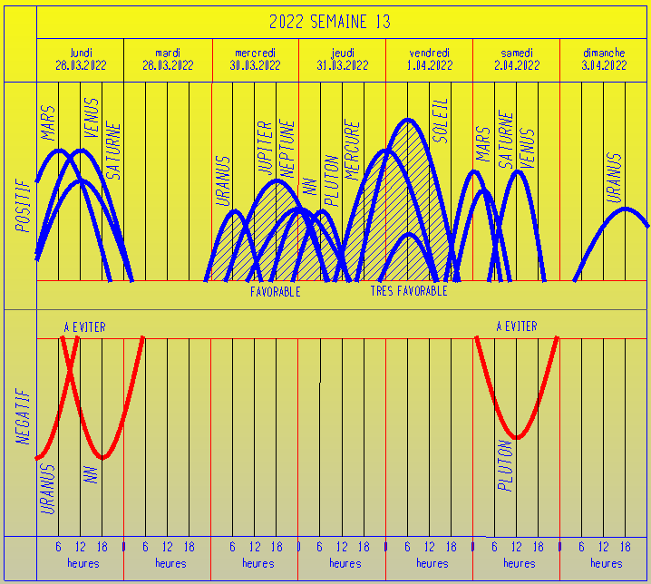 naissance semaine 13